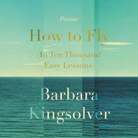 Cover image for How to Fly (in Ten Thousand Easy Lessons): Poetry