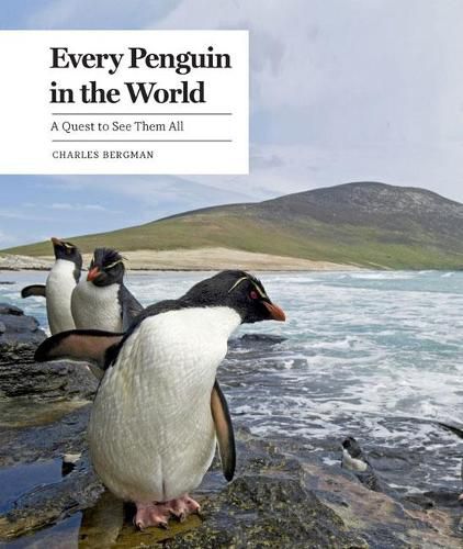 Cover image for Every Penguin in the World: A Quest to See Them All