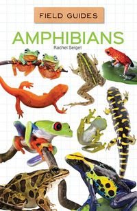 Cover image for Amphibians