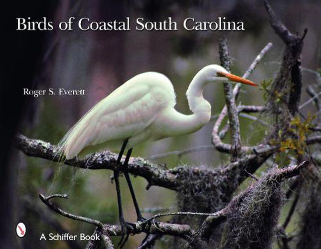 Cover image for Birds of Coastal South Carolina