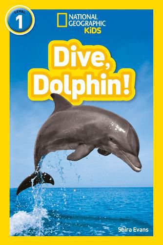 Cover image for Dive, Dolphin!: Level 1