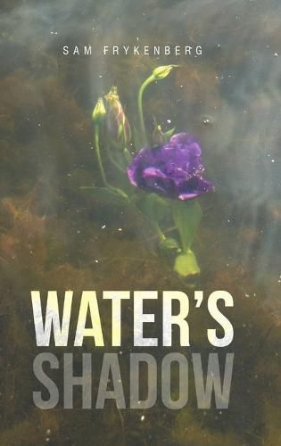 Cover image for Water's Shadow