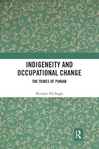 Cover image for Indigeneity and Occupational Change: The Tribes of Punjab