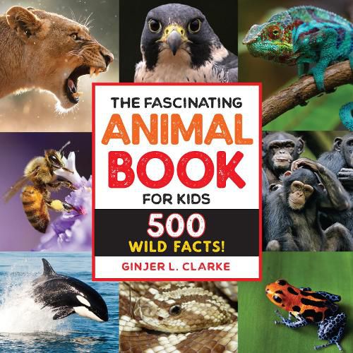 Cover image for The Fascinating Animal Book for Kids: 500 Wild Facts!