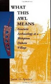 Cover image for What This Awl Means: Feminist Archaeology at a Wahpeton Dakota Village