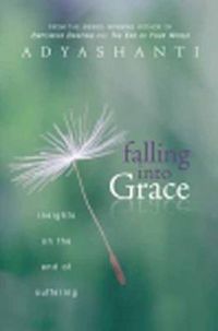 Cover image for Falling into Grace: Insights on the End of Suffering