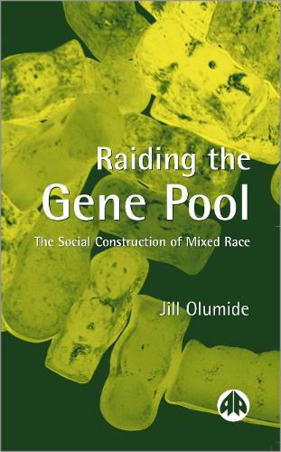Cover image for Raiding the Gene Pool: The Social Construction of Mixed Race