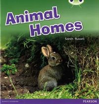 Cover image for Bug Club Guided Non Fiction Reception Pink B Animal Homes