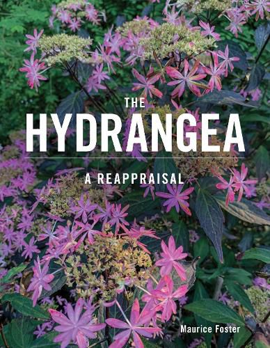 Cover image for The Hydrangea