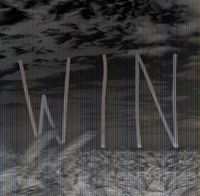 Cover image for Wind