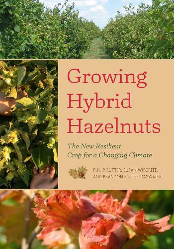 Cover image for Growing Hybrid Hazelnuts: The New Resilient Crop for a Changing Climate