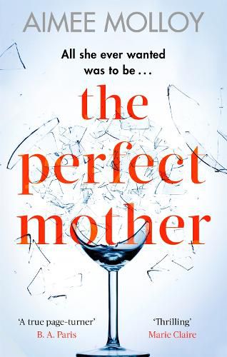 Cover image for The Perfect Mother: A gripping thriller with a nail-biting twist