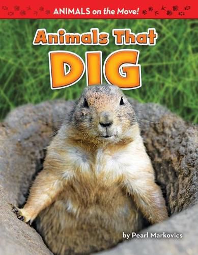 Cover image for Animals That Dig