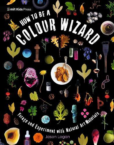 Cover image for How to Be a Colour Wizard: Forage and Experiment with Natural Art Materials