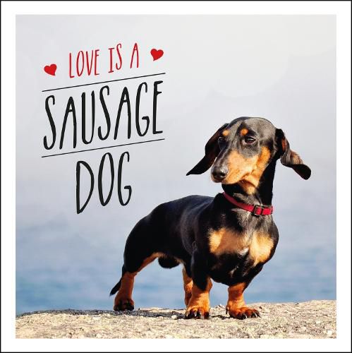 Cover image for Love is a Sausage Dog
