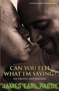 Cover image for Can You Feel What I'm Saying?: An Erotic Anthology
