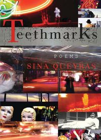 Cover image for Teethmarks