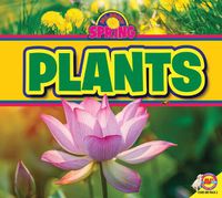 Cover image for Plants