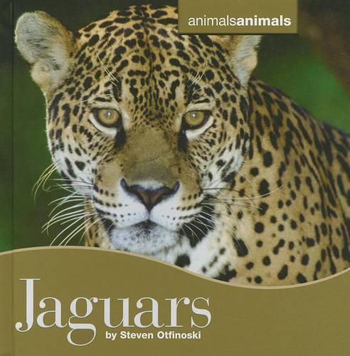 Cover image for Jaguars