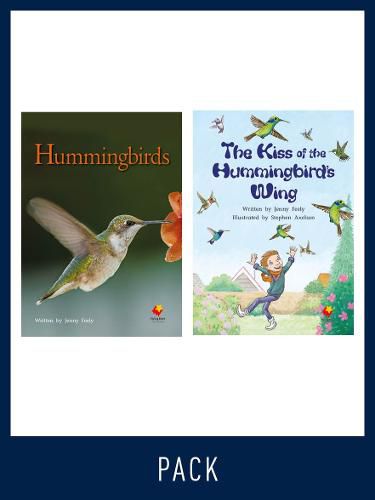 Cover image for Flying Start Guided Reading Level 23, Pack 1: Paired student books (6x6) and lesson plan (1)