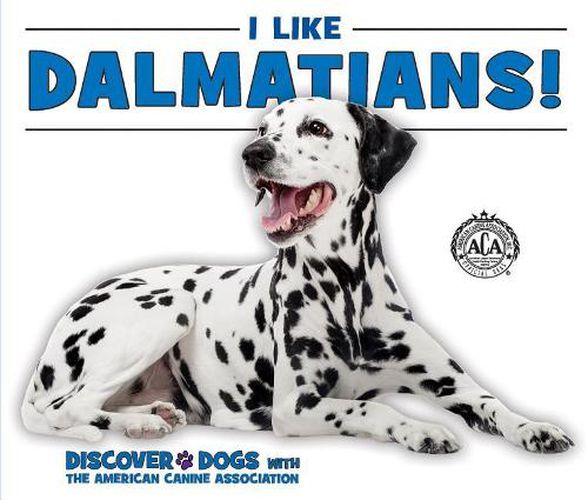 I Like Dalmatians!