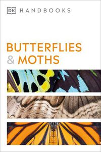 Cover image for Butterflies and Moths