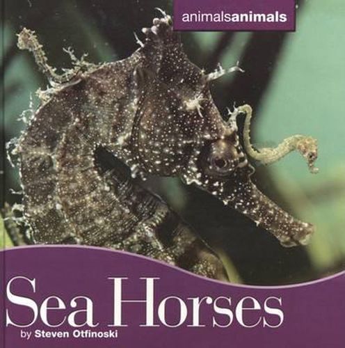 Cover image for Seahorses