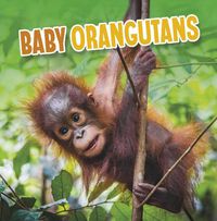 Cover image for Baby Orangutans