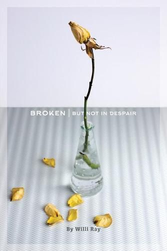 Cover image for Broken: But Not In Despair