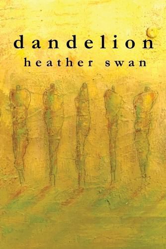 Cover image for dandelion