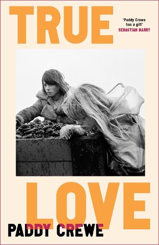 Cover image for True Love