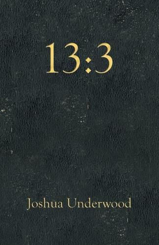 Cover image for 13: 3