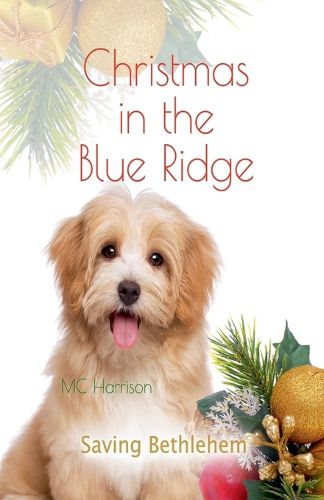 Cover image for Christmas in the Blue Ridge, Saving Bethlehem