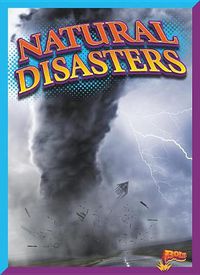 Cover image for Natural Disasters