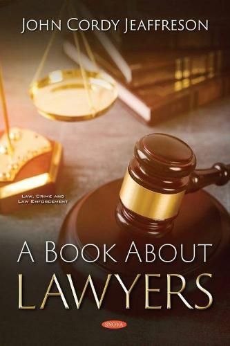 Cover image for A Book About Lawyers