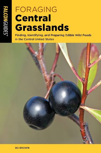 Cover image for Foraging Central Grasslands