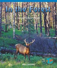 Cover image for In the Forest