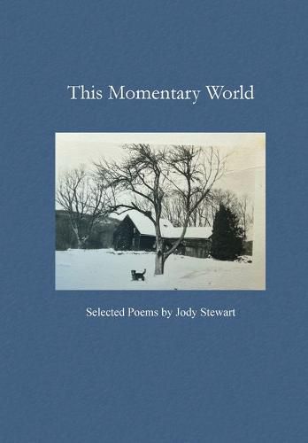 Cover image for This Momentary World