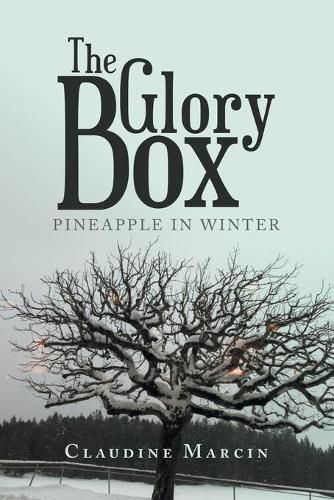 Cover image for The Glory Box