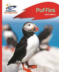 Cover image for Reading Planet - Puffins - Red A: Rocket Phonics