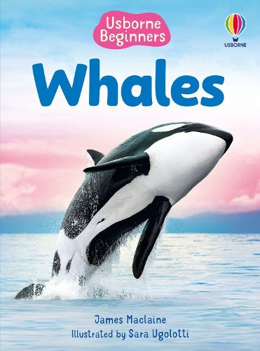 Cover image for Beginners Whales