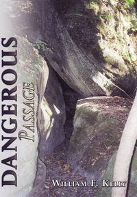 Cover image for Dangerous Passage