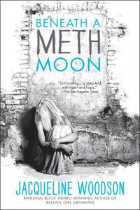 Cover image for Beneath a Meth Moon