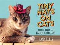 Cover image for Tiny Hats on Cats: Because Every Cat Deserves to Feel Fancy