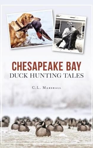 Cover image for Chesapeake Bay Duck Hunting Tales