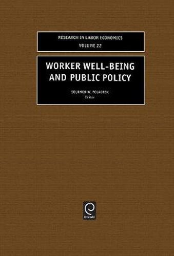 Cover image for Worker Well-Being and Public Policy