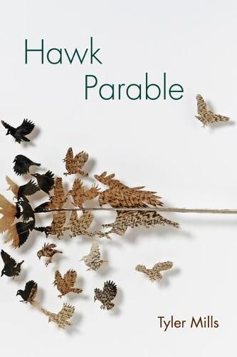 Cover image for Hawk Parable: Poems