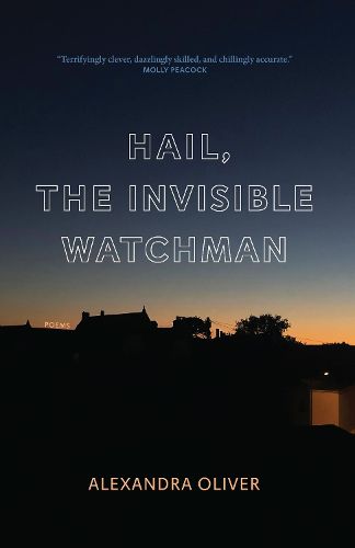 Cover image for Hail, The Invisible Watchman