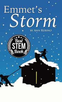 Cover image for Emmet's Storm