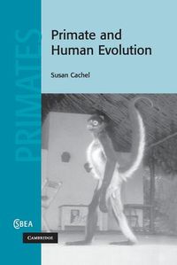 Cover image for Primate and Human Evolution